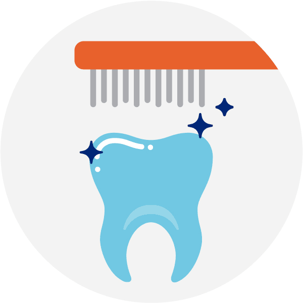Dental Insurance
