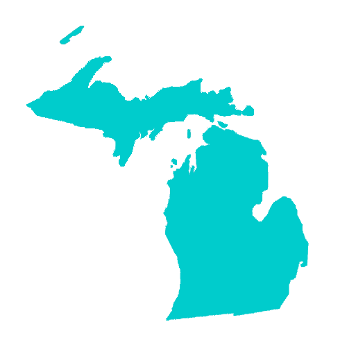 Map of Michigan highlighting healthcare