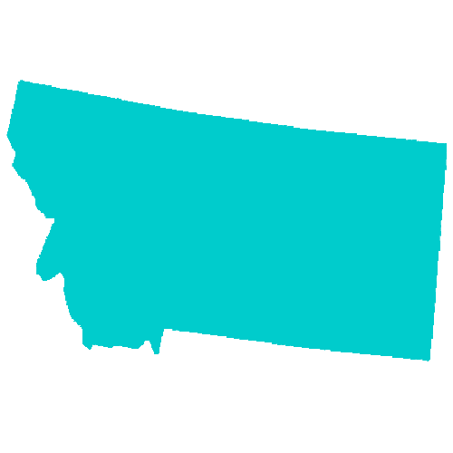 Map of Montana highlighting healthcare